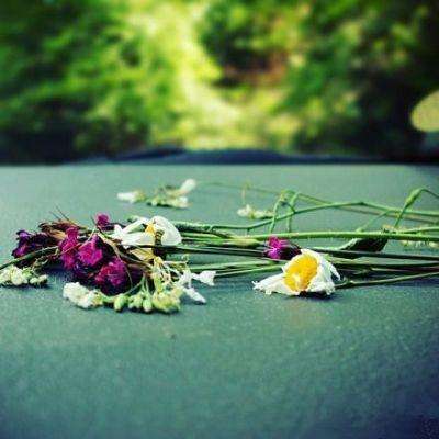 云开·全站中国官方网站截图